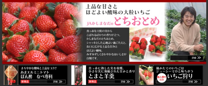 なだろう　いちご